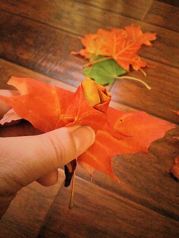 Step 3 roll larger leaf around rosebud